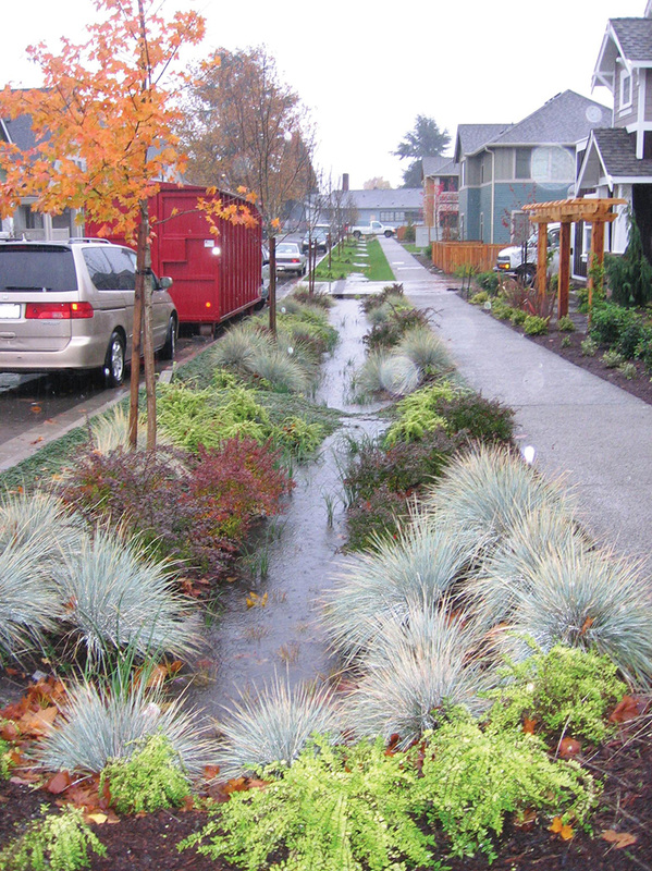 Rainscaping